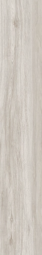 Aspen Ash/19.5x121.5/R - фото 1