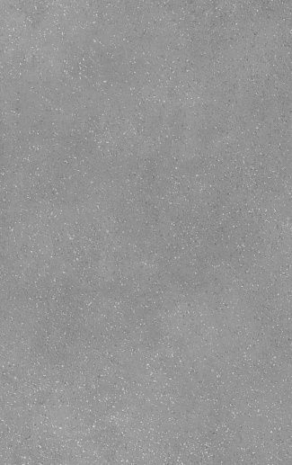Misty Grey 25x40 - фото 1