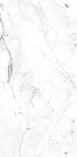 Marble Carrara Blanco Liso 60x120 - фото 1