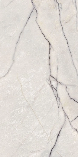 Supreme Treasure Greylac Platinum Lux 60x120 - фото 1