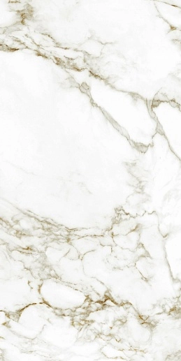 Arabescato Gold Polished 60x120 - фото 1