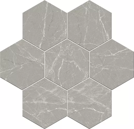 Cosmo Silver 20x24 - фото 1