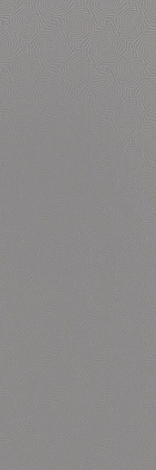 Cromatica Antracite 25x75 - фото 1