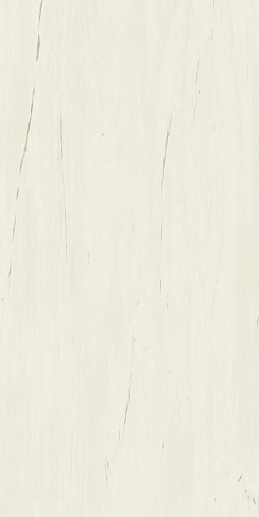Marvel Stone Bianco Dolomite 60x120 Lappato - фото 1