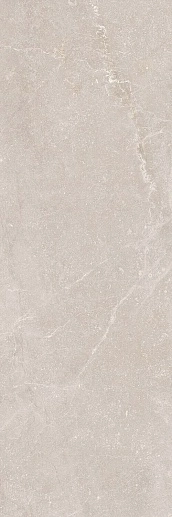 Bleuemix Taupe MATE 40x120 - фото 1