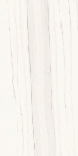 Marmi Classici Zebrino Bianco Lucidato 60x120 - фото 1
