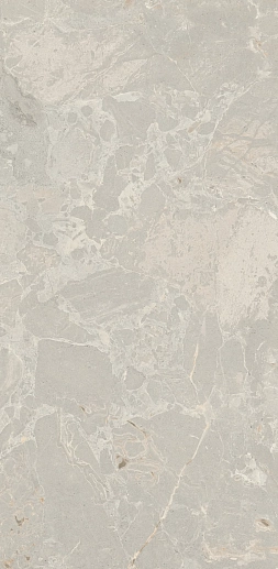 Aurora Taupe Honed Rect. 60x120 - фото 1