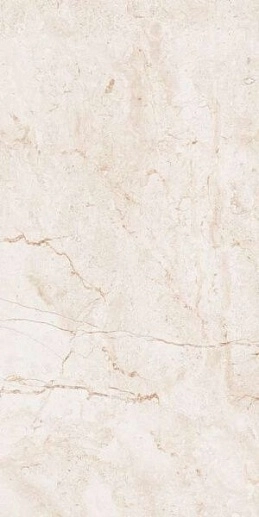 60x120 Stone Ivory Polished - фото 1