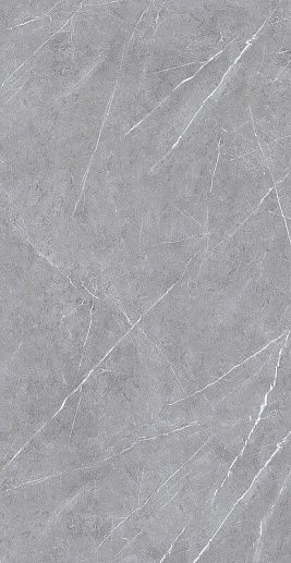 Asmus Grey 60x120 - фото 1