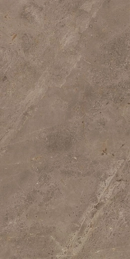 Stone Luish Brown CARV 60x120 - фото 1