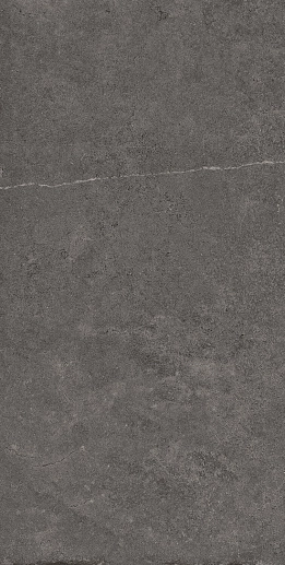 Stoncrete STCR R12DG RM 60x120 - фото 1