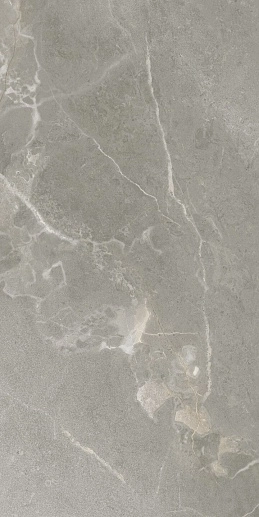 Dubai Lux Taupe 60x120 - фото 1