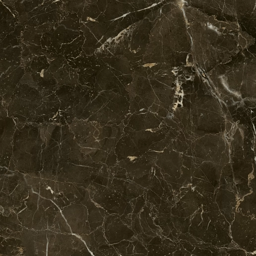 Anima Dark Emperador Rett Lucidato 60x60 - фото 1