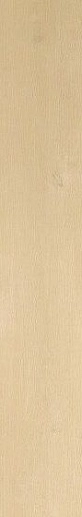 Nid Light 25x150 - фото 1