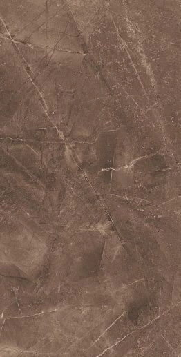 Elegant Armani Choco Коричневый 60x120 - фото 1