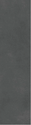 Evoque Coal 29.9x120 - фото 1