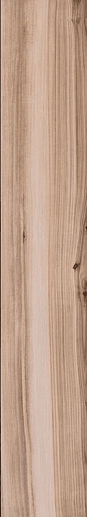 Koru Apricot 20x120 - фото 1