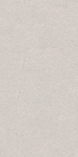 Retrostone Seminato Ash Matt 120x280 - фото 1
