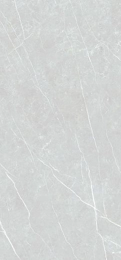 Elite Silver 120x280 - фото 1