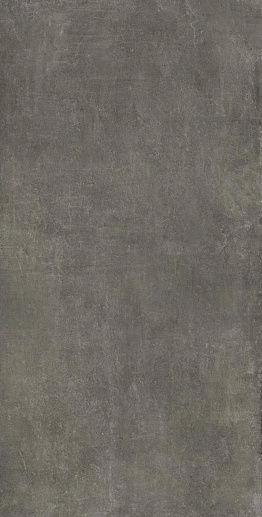 Concret Grey 60x120 - фото 1
