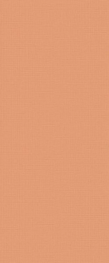 Lilysuite Orange 50x120 - фото 1