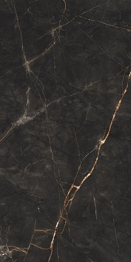 Shinestone Black Pol 59.8x119.8 - фото 1