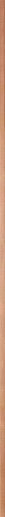 Leonardo Slim Copper 0.8x90 - фото 1