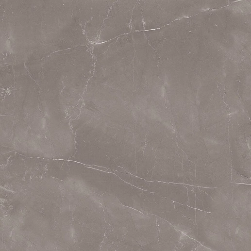 Oasis Armani Gris 60x60 - фото 1