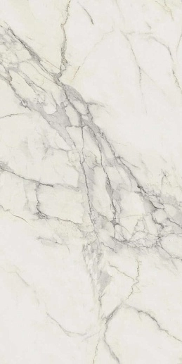 Marvel Wall Calacatta Extra 60x120 - фото 1