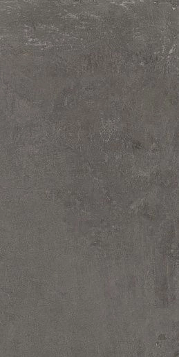 Smart Gris Серый 60x120 - фото 1