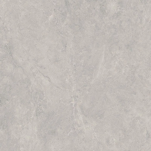 Lightstone Grey Gres Rekt. 59.8x59.8 - фото 1