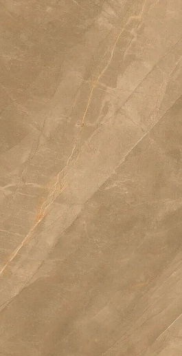 Eco Royalish Brown 9 mm POLI 60x120 - фото 1