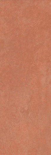 Ekzotic Coral 30x90 - фото 1