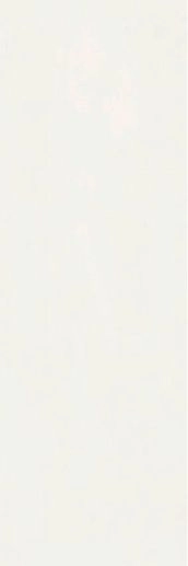 Silken White 25x75 - фото 1