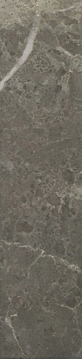 Roma Imperiale 7.5x30 - фото 1