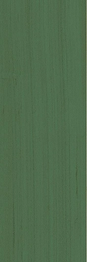 Technicolor Green Bottle 5x37.5 - фото 1