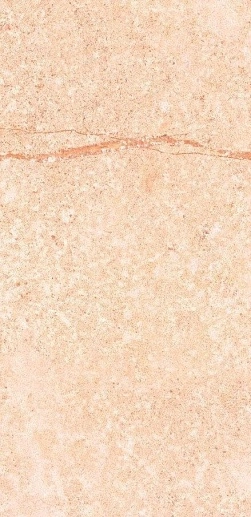 Shunut Beige G302/Бежевый Мат 60x120 - фото 1