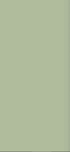 Art Deco Rivestimento Moss Green 12.5x25 - фото 1