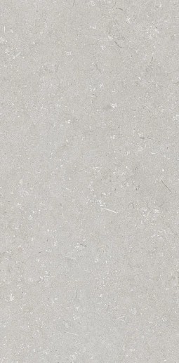 Shellstone Bianco 60x120 - фото 1