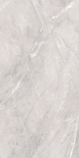 Silk 60x120 Armani Silver Matt - фото 1