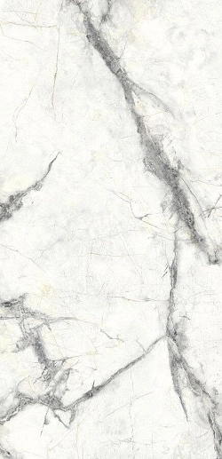 Charme Invisible Grey 60x120 - фото 1