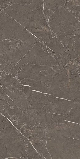 Imperiale Dark High Gloss Rectificado 60x120 - фото 1