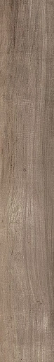 Aspen Brown 15x100 - фото 1
