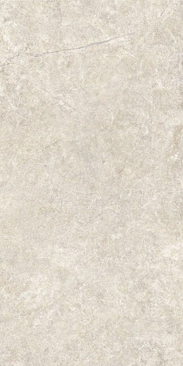 Alchemy Floor Earth As C R 60x120 - фото 1