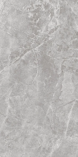 Themar Grigio Savoia 60120 60x120 - фото 1