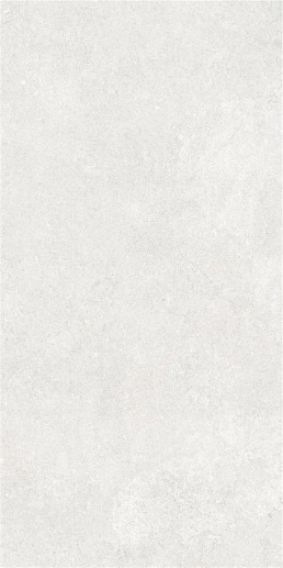 Newcon Белый Матовый 60x120 - фото 1
