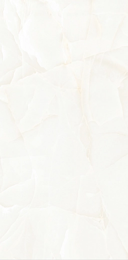 Onyx Predo 60x120 - фото 1
