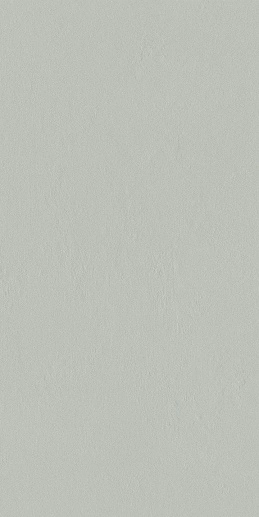 Industrio Grey 59.8x119.8 - фото 1