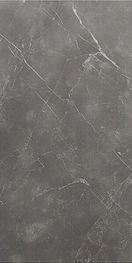 Cromat Piave Argent 60x120 - фото 1
