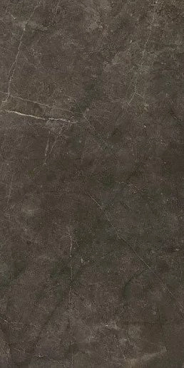 Montecoto Marron Brillo 60x120 - фото 1